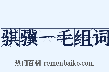 骐骥一毛组词是什么意思的图片